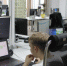 Нажмите для предварительного просмотра изображения - Tdnu.Ru
