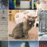 Необычные Instagram Уфы: подборка интересных аккаунтов - Уфа1.Ru