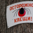 Осторожно - клещи! - Администрация гор.округа Уфа