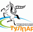 IV Открытый детско-юношеский и молодежный телекинофестиваль «Тулпар – 2017» - Министерство молодежной политики и спорта РБ