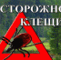 Берегите детей от клещей! - Администрация гор.округа Уфа