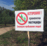 На территории Уфимского лесничества проведены лесозащитные мероприятия - Bashkortostan.Ru