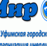 В Уфе появится городская служба "Инвалид" - Общественная палата РБ
