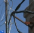 Thumb 326ca08b21d96e845eaf132baf555138 - Rb7.Ru