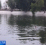 Thumb bdc8af839c830b5c9d05b674e01948b1 - Rb7.Ru
