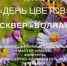 В Ленинском районе Уфы состоится праздник цветов «Цветочная гавань» - Управление образования г. Уфа