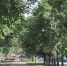 Thumb 5e4160716e0b031f 320 - Rb7.Ru