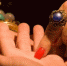 Thumb 4162cc6a754cef1f0a201b1619c91e9b - Rb7.Ru