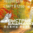 В Советском районе пройдут соревнования по скандинавской ходьбе - Администрация гор.округа Уфа