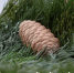 Thumb 283dbcf44500cb1ee61546b37c6d49aa - Rb7.Ru