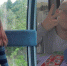 31-летняя мать двоих детей, которую объявил в розыск ее супруг, вышла на связь. По словам Анатолия, звонок со скрытого номера раздался сегодня, 6 декабря, днем, когда он был с детьми в поликлинике. - TemaUfa.Ru