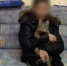В Управлении МВД по Калининградской области сообщили в необычном происшествии, произошедшем в Краснознаменском районе. 25 января полиция района была ориентирована на поиски пропавшего 13-летнего мальчика. Подросток утром - TemaUfa.Ru