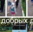 Подарки четвероногим друзьям  - Администрация городского округа Уфа