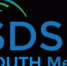 Молодежная общественная палата при Горсовете Уфы - официальный член SDSN Youth - Совет гор.округа Уфа