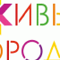 Как решать проблемы в городах? - Совет муниципальных образований
