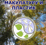 Уфимцы могут обменять макулатуру на саженцы деревьев и кустарников - Башинформ