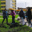 Посади дерево – сделай двор уютным! - Администрация городского округа Уфа