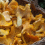 https://pixabay.com - Tdnu.Ru