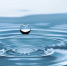 Гепатит С имеет вирусное происхождение, развитие болезни происходит с момента попадания вируса в кровь человека, поэтому важно знать что такое гепатит С - Tdnu.Ru