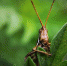 https://pixabay.com - Tdnu.Ru