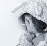 https://pixabay.com - Tdnu.Ru