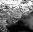 https://pixabay.com - Tdnu.Ru