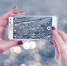 https://pixabay.com - Tdnu.Ru