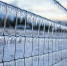 https://pixabay.com - Tdnu.Ru