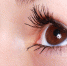 https://pixabay.com - Tdnu.Ru