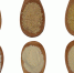 https://pixabay.com - Tdnu.Ru