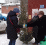 В Кировском районе Уфы проходит акция «Ёлки в щепки» - Администрация городского округа Уфа