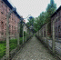 pixabay.com - Tdnu.Ru