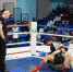 Уфимские спортсмены признаны победителями Чемпионата и Первенства Башкортостана по ММА - Администрация городского округа Уфа