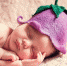 https://pixabay.com - Tdnu.Ru