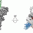 biorxiv.org - Tdnu.Ru