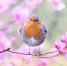 https://pixabay.com - Tdnu.Ru