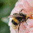 pixabay.com - Tdnu.Ru
