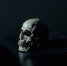 pixabay.com - Tdnu.Ru