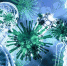 pixabay.com - Tdnu.Ru