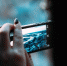 pixabay.com - Tdnu.Ru