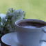 pixabay.com - Tdnu.Ru