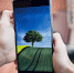 pixabay.com - Tdnu.Ru