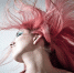 pixabay.com - Tdnu.Ru