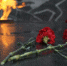 pixabay.com - Tdnu.Ru