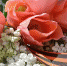 https://pixabay.com - Tdnu.Ru