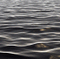вода - Tdnu.Ru