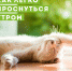 Как легко проснуться утром? - ГБУЗ РКЦ