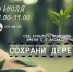 Молодежный отдел Уфимской епархии принял участие в акции "Сохрани дерево" - Уфимская Епархия