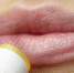 https://pixabay.com - Tdnu.Ru