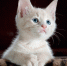 pixabay.com - Tdnu.Ru